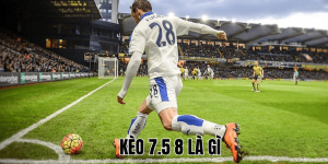 Kèo 7.5 8 Là Gì