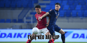 Tỷ Lệ Kèo AFF Cup