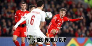 Tỷ Lệ Kèo World Cup